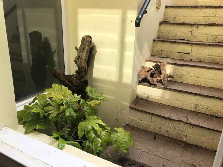 Beautiful, Well Positioned Flat In Clifton Wood Apartment Bristol Luaran gambar